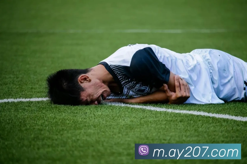 体育赛事